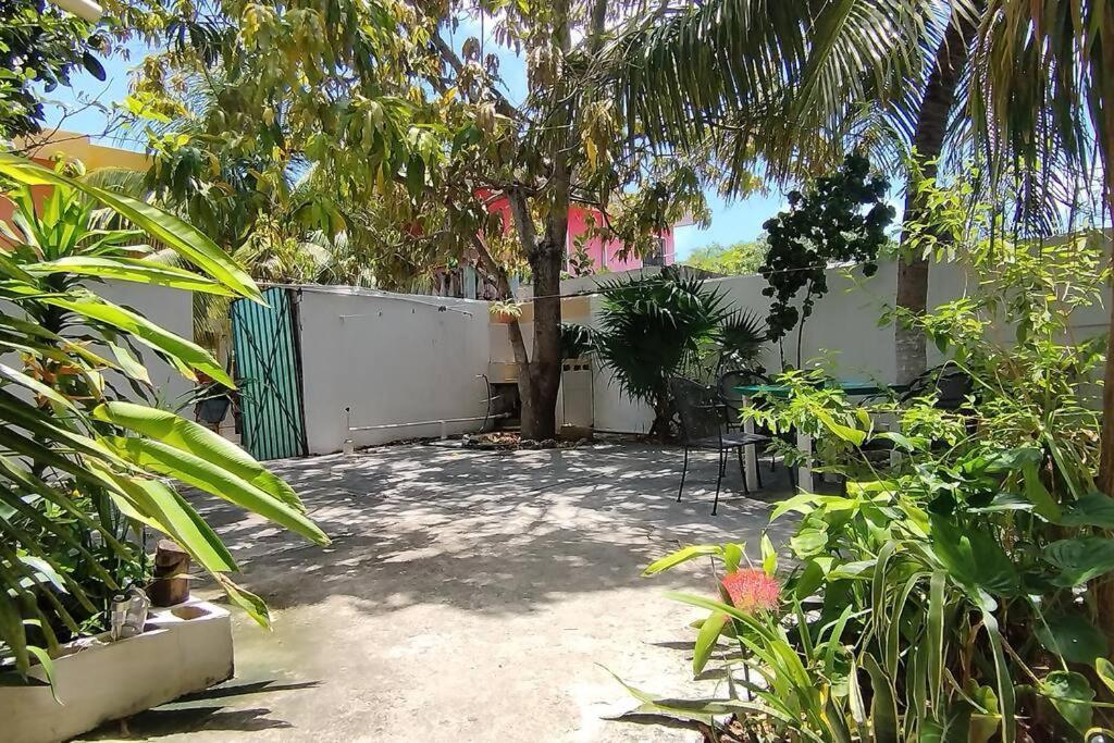 Apartamento Departamento Rosi Cerca De Juzgado Familiar