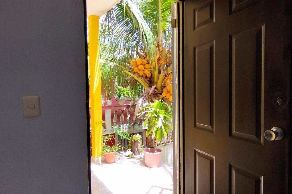 Departamento Rosi Cerca De Juzgado Familiar Apartamento *