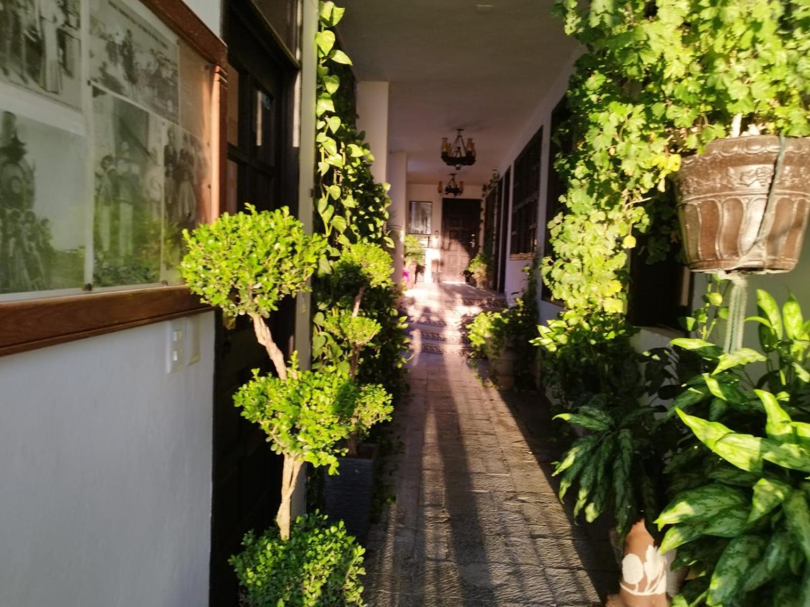 Majaguar Apartahotel *