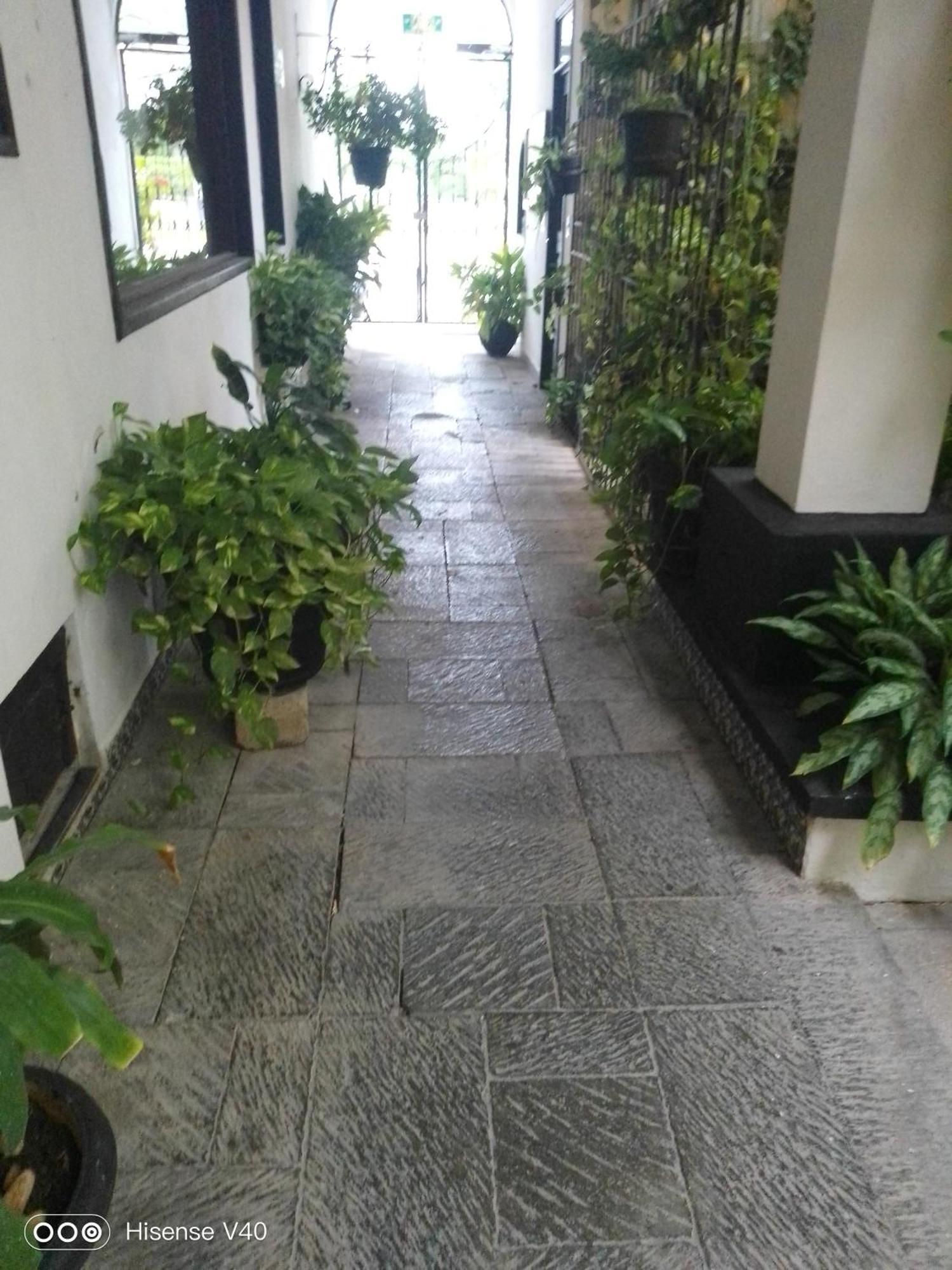 Majaguar * Cancún