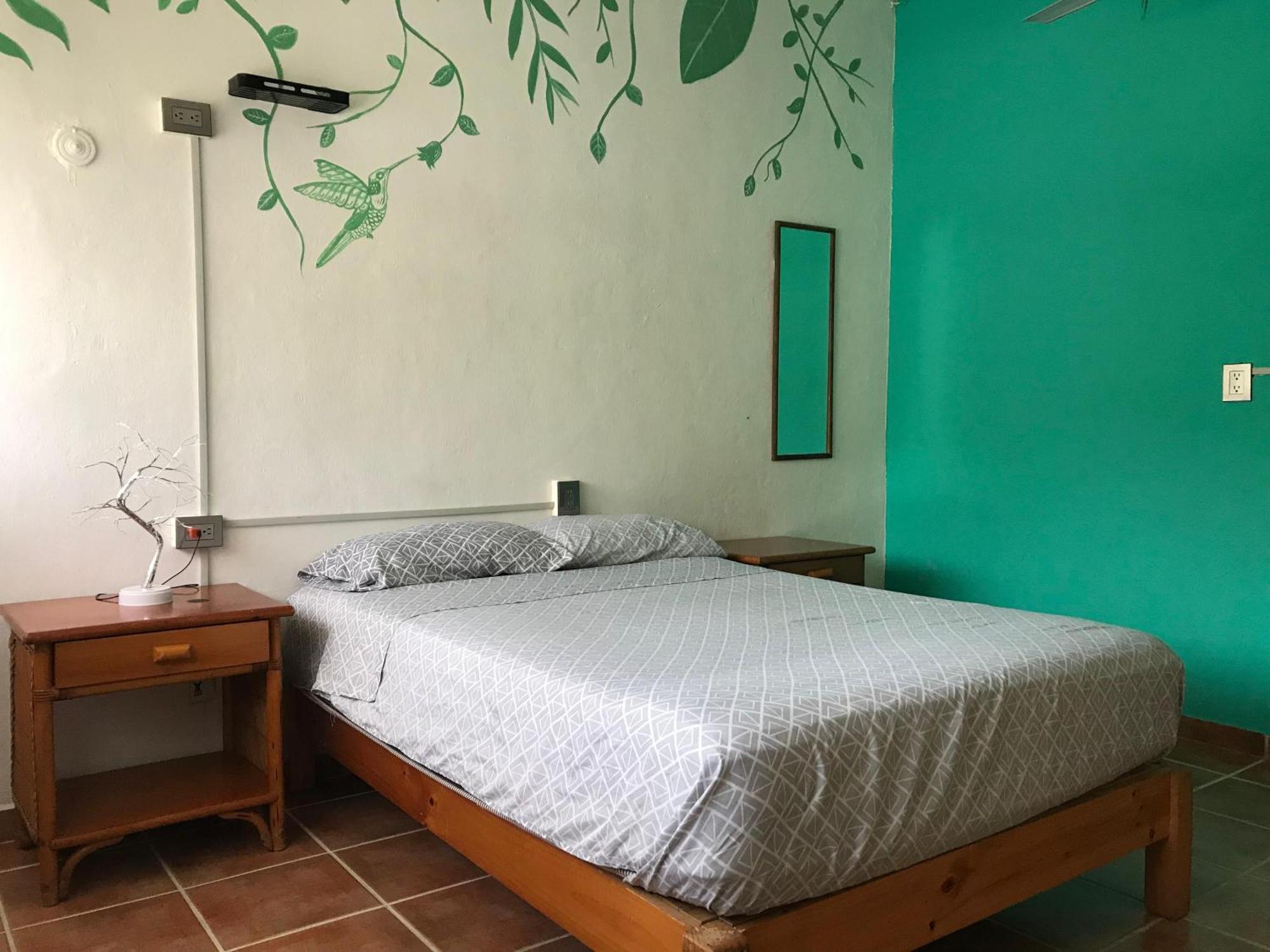 Venado-ocho * Cancún