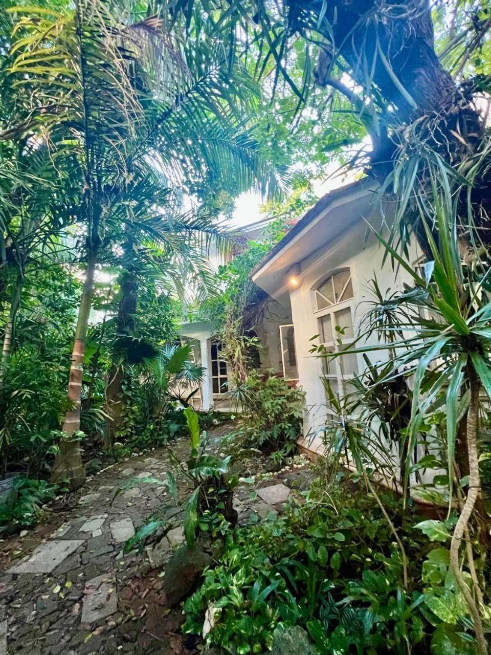 Casa Del Arquitecto Apartamento Cancún
