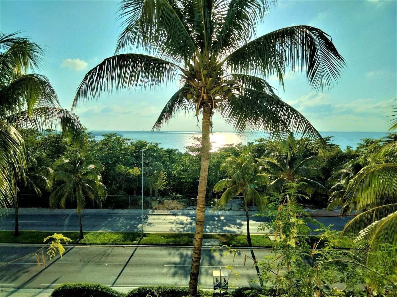 Great Price, Beautiful And Pool, 1 Bedroom Apartamento