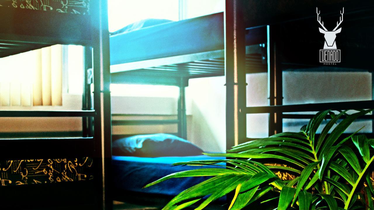 Venado Pensión Cancún