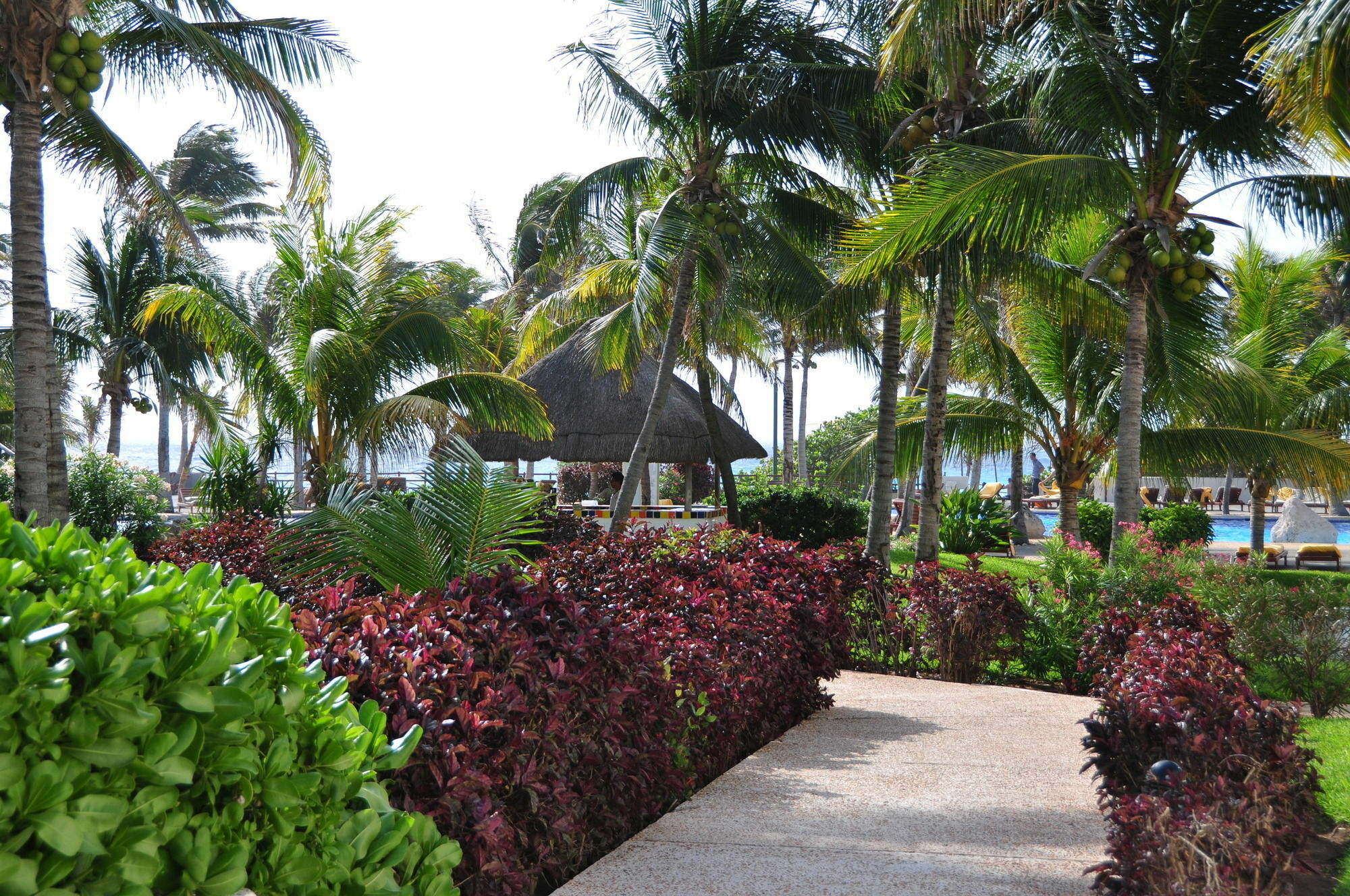 Grand Oasis Resort Cancún