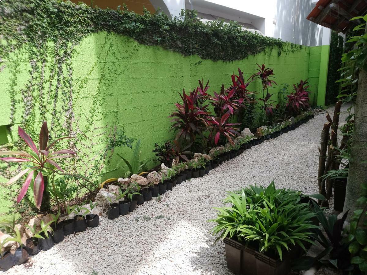 Casita Rustica En La Selva Cancun