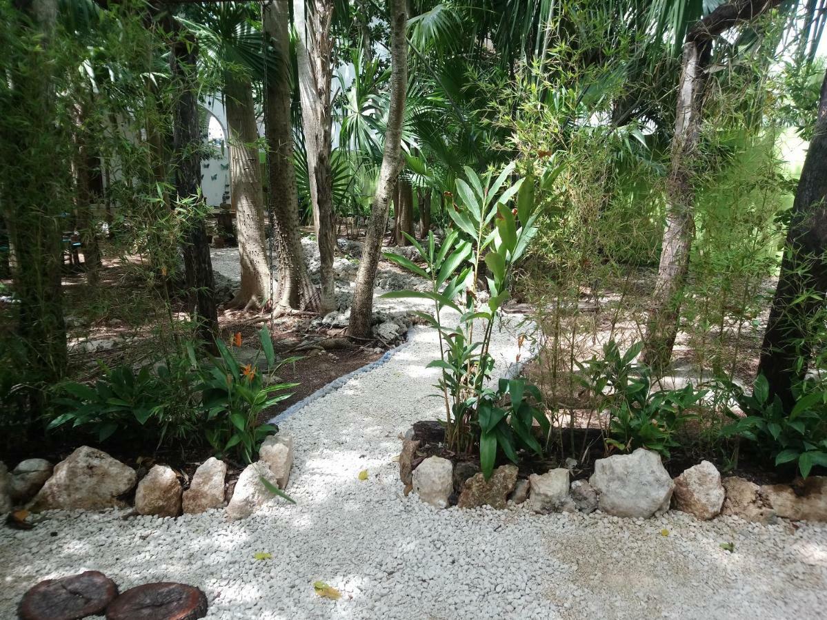 Casita Rustica En La Selva Cancun