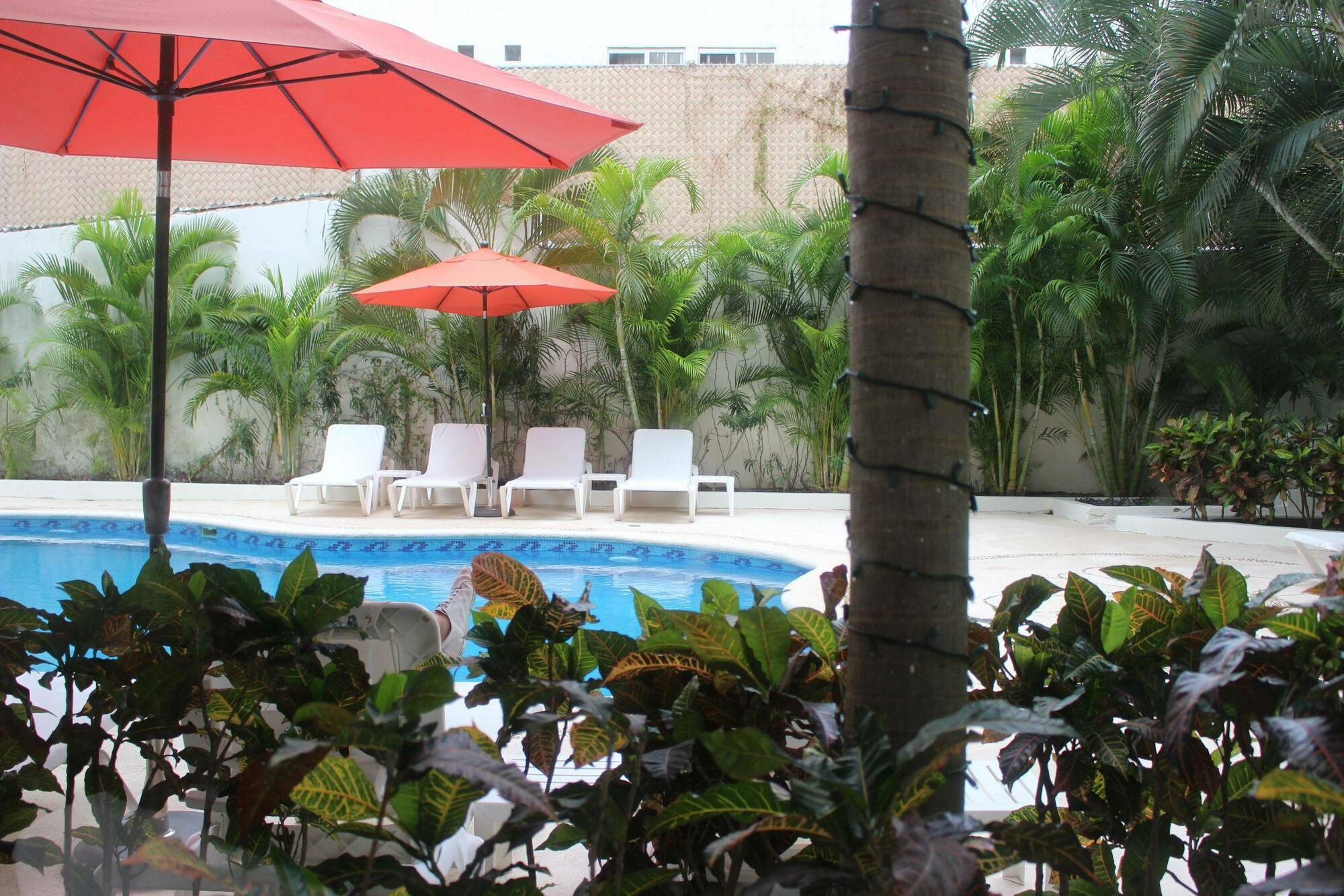 Adhara Express Cancún