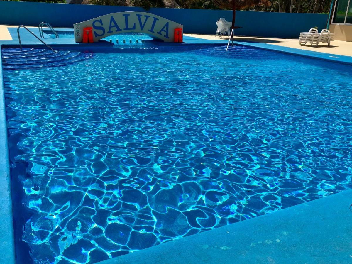 Salvia - Beachfront