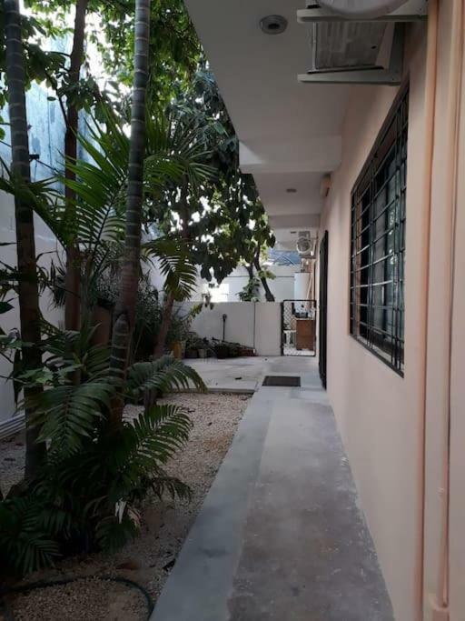 Apartment Estudio En Centro