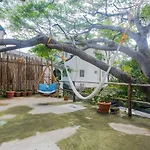 Casa Árbol Mx-La experiencia bajo un Arbol Maya