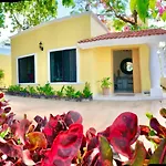 La Casa de los Alcatraces
