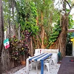 Room In Guest Room - Low Budget Small Room, With Wi-Fi Private Bathroom At Downtown Cancun