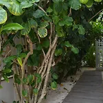 Casa Cielo Cancún