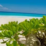 Ocean View Apartment, Best Beach Area, 3 Bedrooms