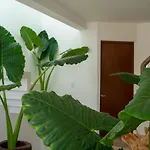 Recamara 5 Tulum