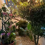 Hermosa Casa De La Uva En Cancun