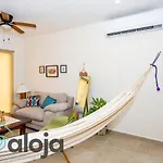 Ideal Estudios Calidos Y Acogedores
