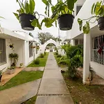 Alcatraces