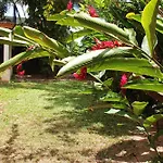 Amaz Aeropuerto Inn