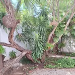Estudio En El Corazon De Cancun