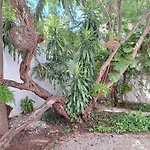 Estudio En El Corazon De Cancun