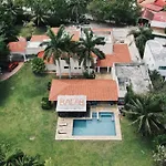 Profile 2