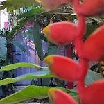 Barbie Home
