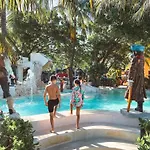 Oasis Palm