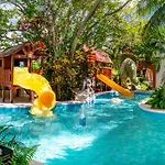 Oasis Palm