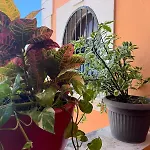 Hotel Casa Mallorca