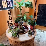 Hotel Casa Mallorca