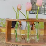 La Casa Del Arbol