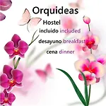 Orquideas