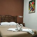 Roomsceibo