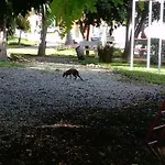 Posada El Limónazo