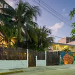 Gaia Studios