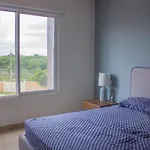 cancún con alberca gigante