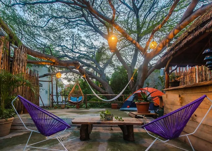 Casa Árbol Mx-La experiencia bajo un Arbol Maya