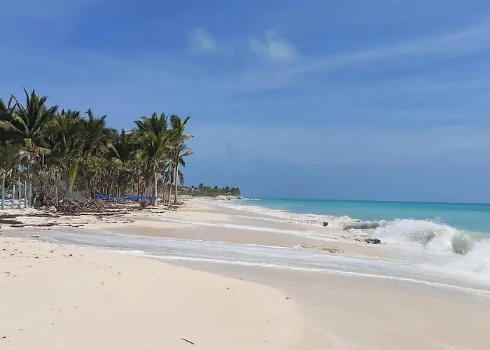 Playa virgen en Cancún