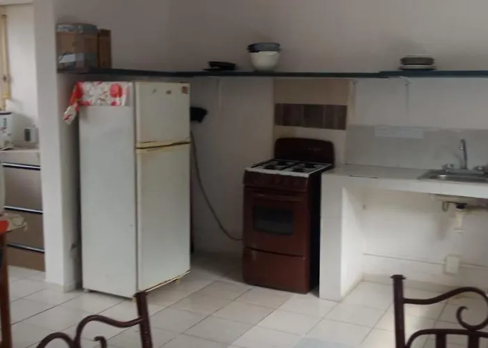 Balagan Departamento Frida