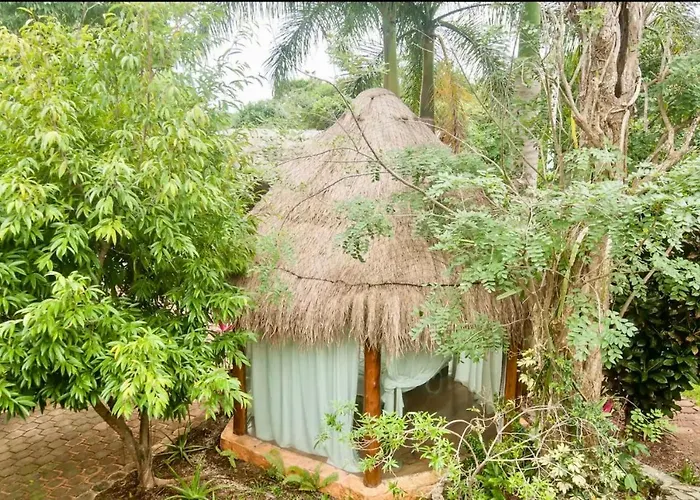 Oma Cancun - Holistic Healing Center