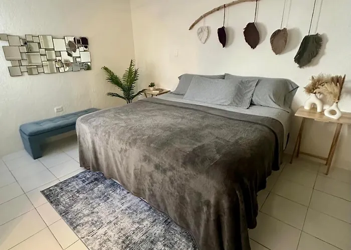 Hermoso Estudio En El Centro Y Corazon De Cancun