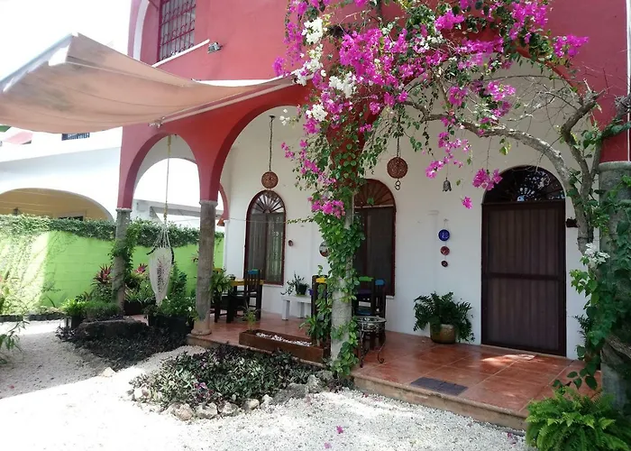 Casita Rustica En La Selva