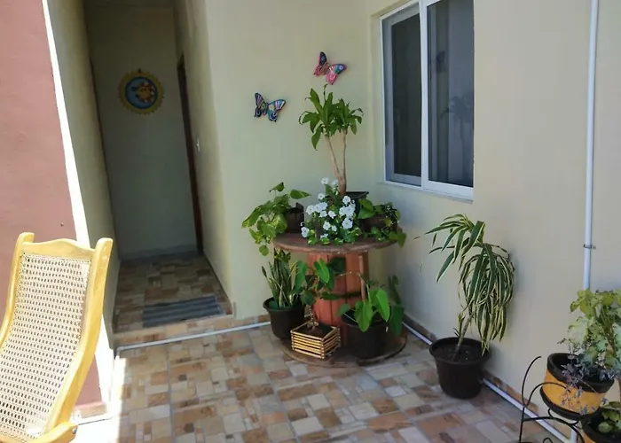 Roomsceibo