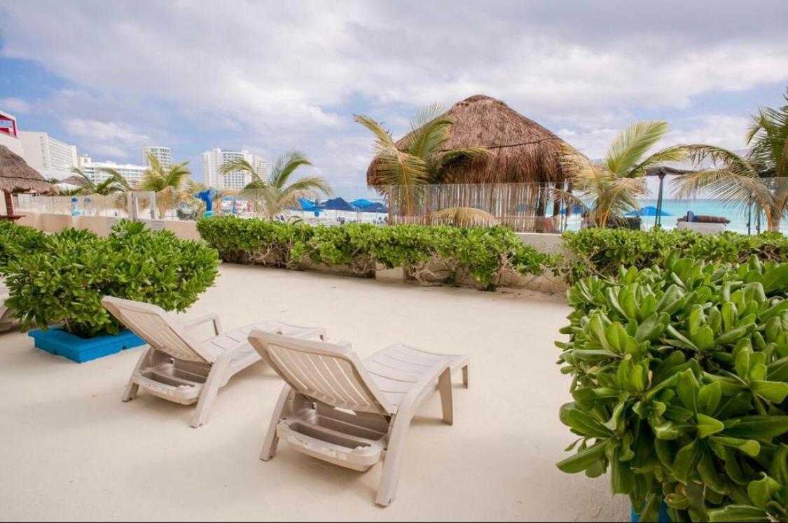 Salvia 303 Cancún