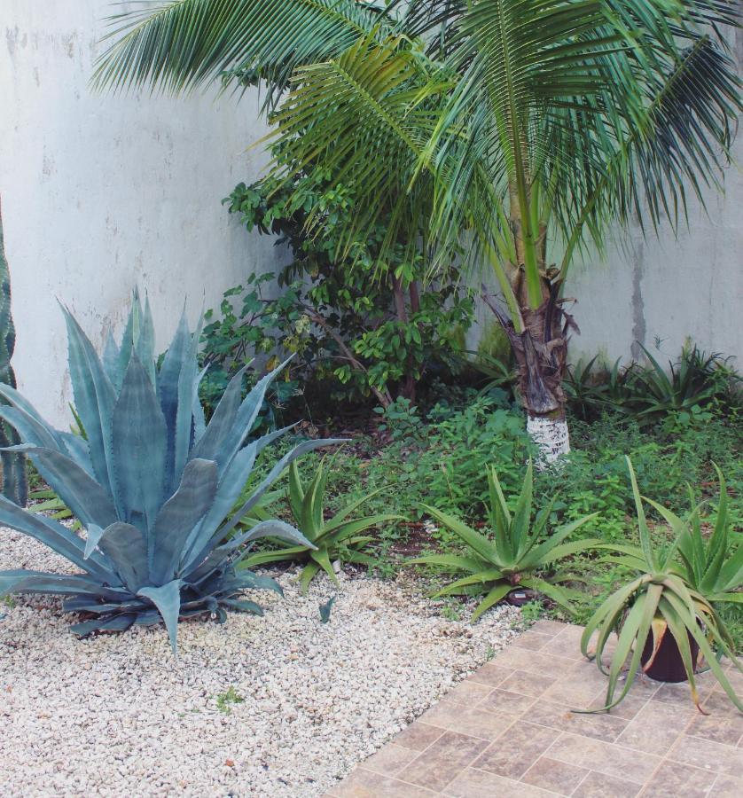 In Alamos * Cancún