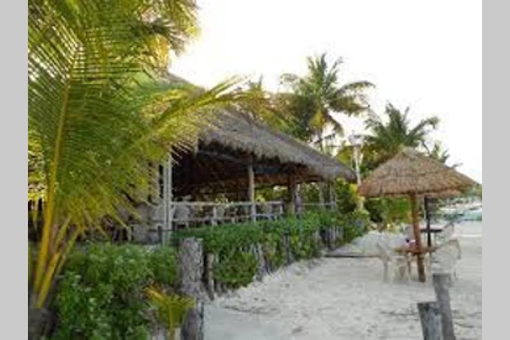 Amara Beachfront Caribe R Apartamento