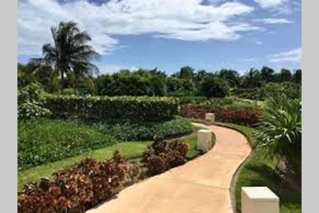 Amara Beachfront Caribe R Apartamento