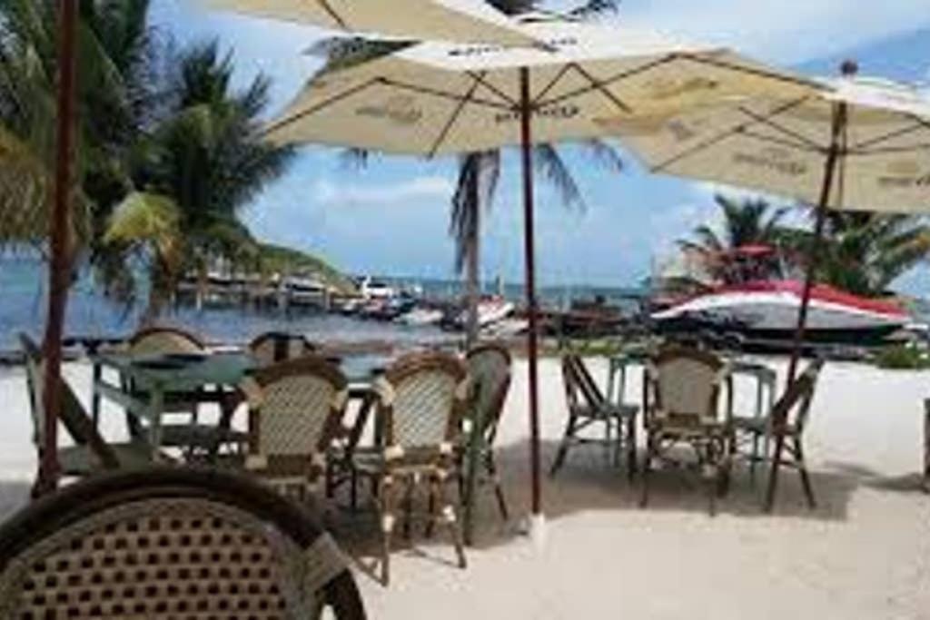 Apartamento Amara Beachfront Caribe R *